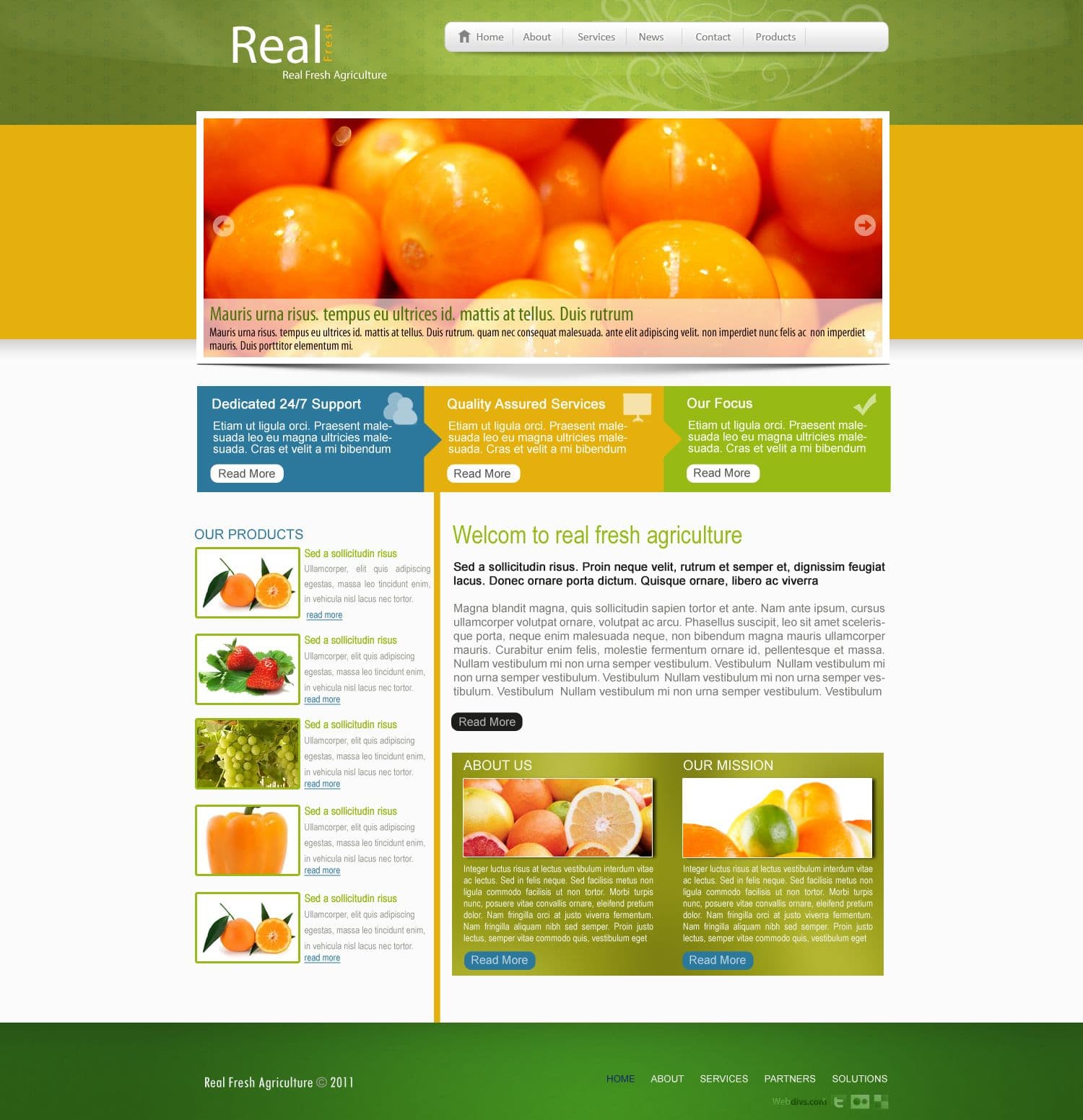 Real Fruits: Revolutionizing Fresh Delivery